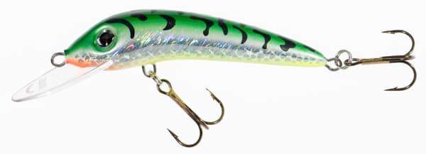 Jaxon Holo SELECT FEROX 8F -vauhtivahvistin VJ-F08FST |VJ-F08FST