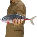 Miniatyrbillede 1 af 2: Fiskeforfangssæt, 15,75 tommer længde, 2,26 lb vægt,HVID