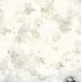 TTTCarp Betaiini 100g