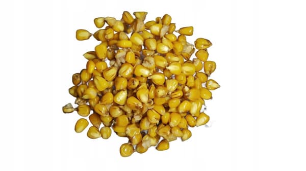 TTTCarp CORN valmiit jyvät 1kg