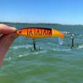 Miniatyrbillede 7 af 11: Agn Popper Flopper Wobbler til gedde, malle, gedde, sandart 06 10 cm