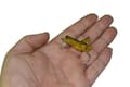 Miniatyrbillede 11 af 11: Wobbler GRÆSKEHOPPER GRÆSKEHOPPER CIKADE FISKEAGOD GEDDE Zander 4cm