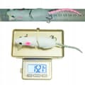 Pikkukuva 6 / 7: Vaappu KALASTUSSÖÖTTI HAUKI KUHA MONNI 15.5g 8.5cm Hiiri ROTTA