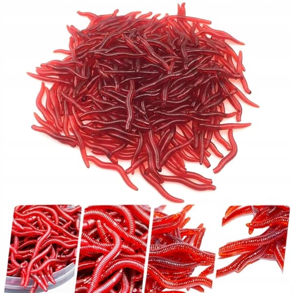 Kunstige orme RØD REGNORM Dendrobena TROMMEORM 3,5 cm 100x