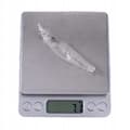 Pikkukuva 4 / 11: BODY Wobbler HAUKKI KUHA AHVEN Tee-se-itse MAALAUTUSVAAKA 10 kpl 8,5 cm 7 g
