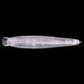 Pikkukuva 5 / 11: BODY Wobbler HAUKKI KUHA AHVEN Tee-se-itse MAALAUTUSVAAKA 10 kpl 8,5 cm 7 g
