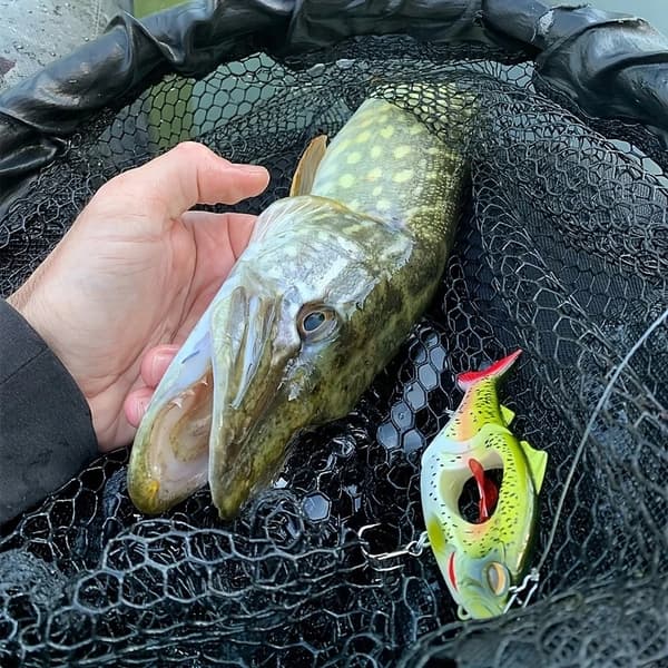 BETE WOBBLER XXL för GÄDDA, MAL, GÖS Roterande PENDEL 13,5 cm 35g