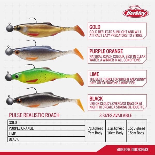 Berkley fiskedrag - platsB09G2YTNB7 - Pulse Realistic Roach Förriggad 70 mm, 110 mm - 150 mm - Fiskesats