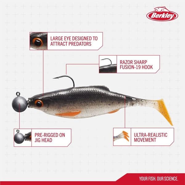 Berkley fiskedrag - platsB09G2YTNB7 - Pulse Realistic Roach Förriggad 70 mm, 110 mm - 150 mm - Fiskesats