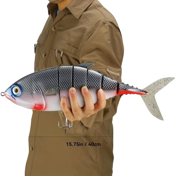 Fiskedragset, 15,75 tum längd, 2,26 lb vikt,VIT