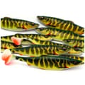 Miniatyrbillede 2 af 3: GUMMIAGDNING Savage GEAR 4D SILD 11cm 9g SKYLD GEDDEFISKE 1 stk |SVS63659