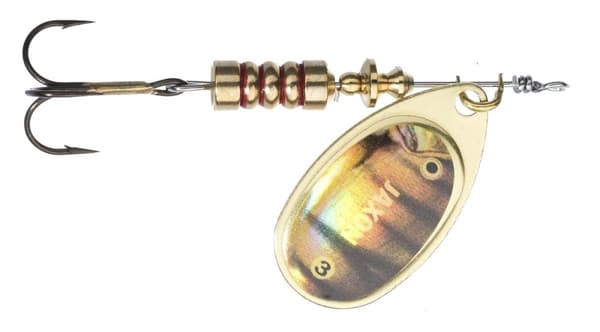 Jaxon HOLO SELECT DORO Spinner NR. 1 3G E BO-JXL1E |BO-JXL1E
