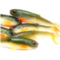 Miniatyrbild 1 av 4: Sg Craft Kannibal Paddletail 8,5 cm 7 g Olivpärla Hot Orange | SVS71808