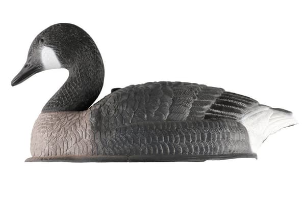 Canadian goose shell decoy