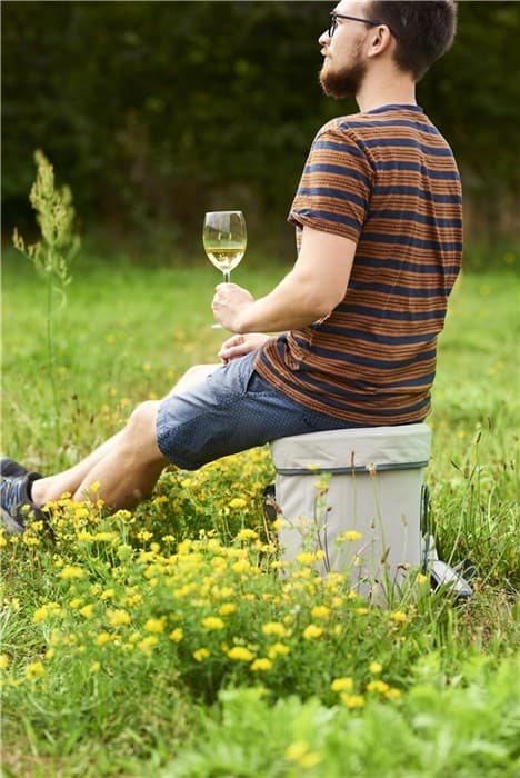 Outfit Køletaske med sæde 20L ass