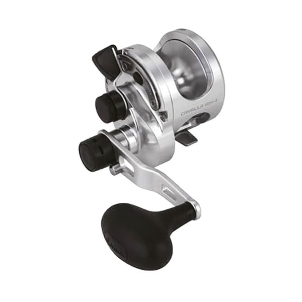 Okuma Uistelukela Cavalla Nii Hopeinen 5