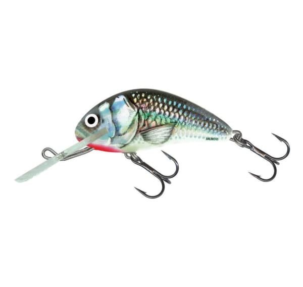 Viehe Hornet 4S 4cm/4g/2,0-2,5m HGS
