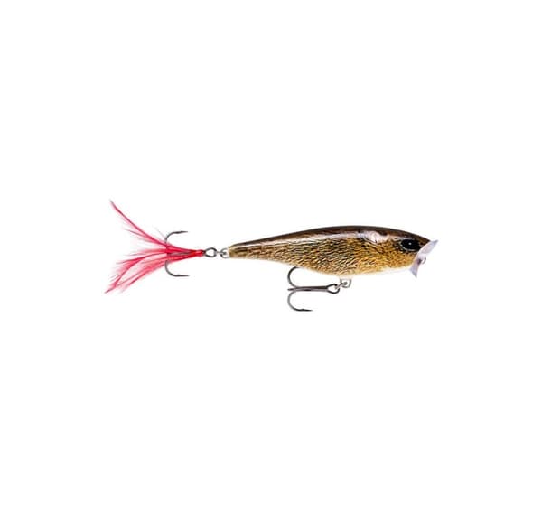 Lure Skitter Pop 5cm/6g FML