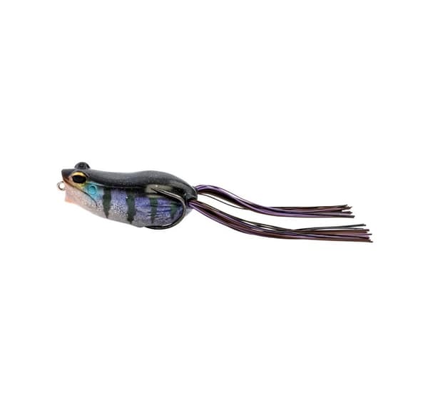 SG humlepopper frosk 5,5cm/15g F Gill