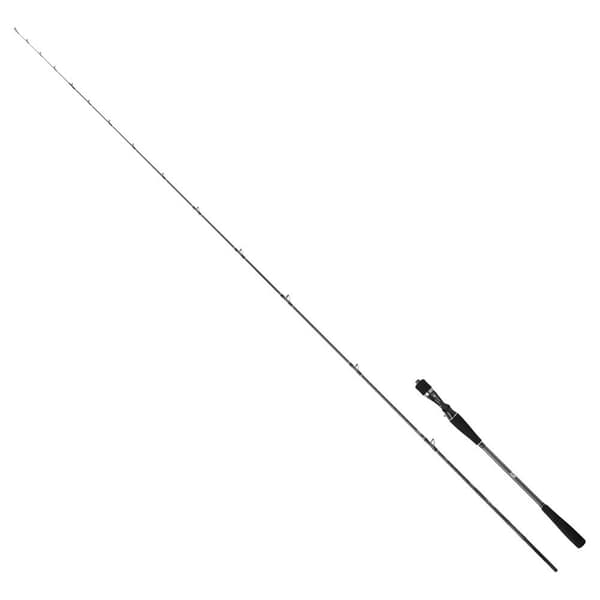Daiwa Baitcasting Sauva Saltist Tenya Harmaa 2.44 m / 15-50 g