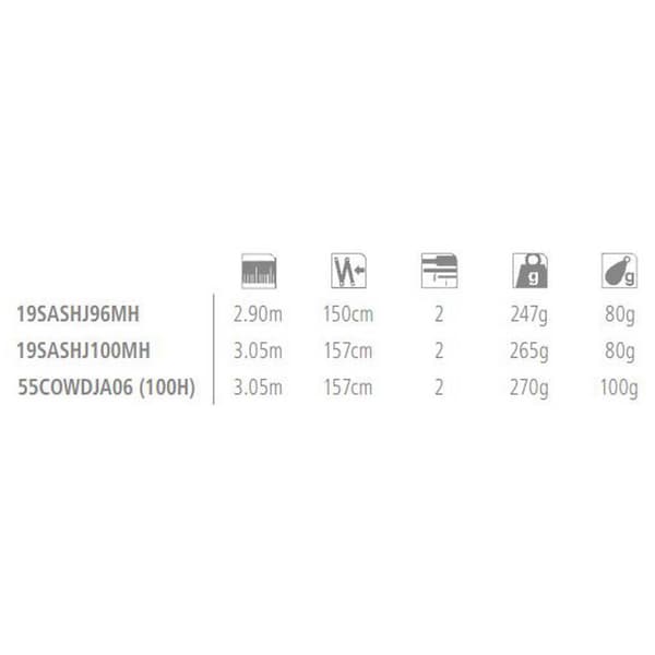 Shimano Fishing Jigging Stång Salty Advance Silver 3.05 m / 80 g