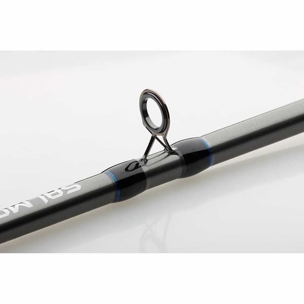 Dam Pyörivä Sauva Salmonizer Planner Hopeinen 2.40 m / 20-35 Lbs