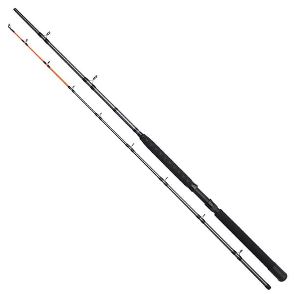 Dam Pyörivä Sauva Salmonizer Planner Hopeinen 2.40 m / 20-35 Lbs
