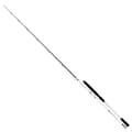 Pikkukuva 1 / 2: Maver Pyörivä Sauva Dragonair Hopeinen 2.50 m / 15-80 g