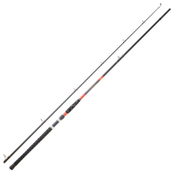 Daiwa Havskattspö Megaforce Big Fish Silver 2.90 m / 100-300 g