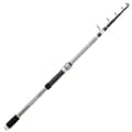 Miniatyrbild 1 av 2: Daiwa Nedre Fraktstång Megaforce Buscle Tele Silver 2.40 m / 20-80 g
