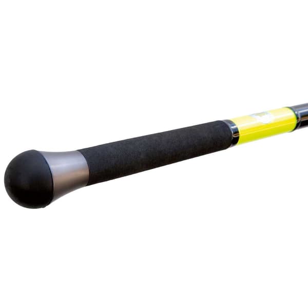 Fishing Ferrari Surfcasting Stang Beach Queen Sort 4.20 m / 100 g