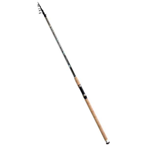 Lineaeffe Bolognese Stång Toro 40 Gr Svart 4.00 m / 40 g