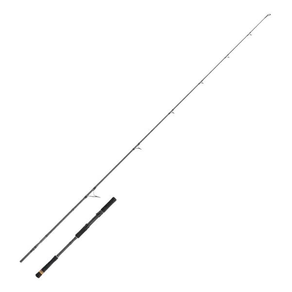 Cinnetic Haspelspö Rayforce Xbr Boat Casting Silver 2.40 m / 7-30 g