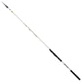 Miniatyrbild 1 av 2: Daiwa Bolognese Stång Triforce Bombette Silver 4.18 m / 30-80 g