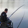 Miniatyrbillede 4 af 5: Cresta Afsnit Spartacus Carp 3000 4 Transparent
