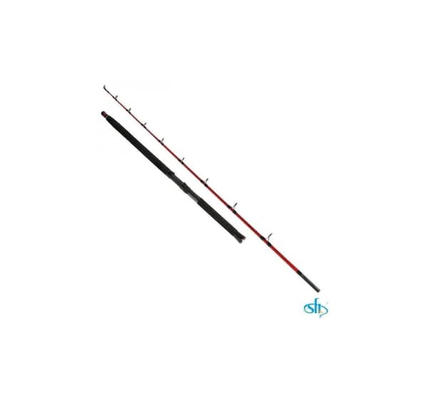 Suolavesivapa BEGINNER 2,1 m 300-1000 g 2 s 50 lbs, SFT