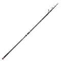 Miniatyrbillede 1 af 2: Daiwa Emblem Type R Teleskopisk Surfcastingstang Søvfarvet 4.20 m / 200 g