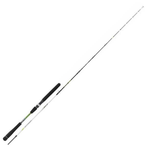 Kali Kunnan Spiaggia Jigging-vapa Hopeinen 1.80 m / 30-120 g