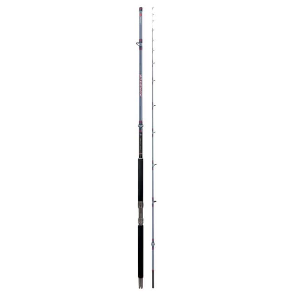 Colmic Fondale Fuji Kw O-ring Bundstang  2.50 m / 1300 g