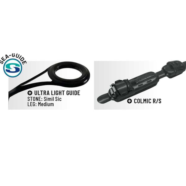 Colmic Alexa Project Bolognesestang  6.00 m / 20 g