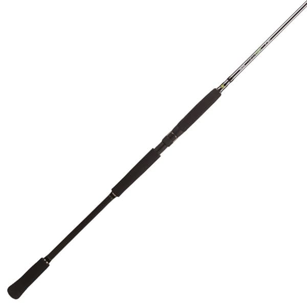 BFT Raptor G2 Pike Spin 8' -100g - 2pcs Haspel