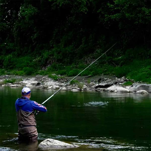 Colmic Fiume Wr T6000 Bolognesestang Søvfarvet 5.00 m / 30 g