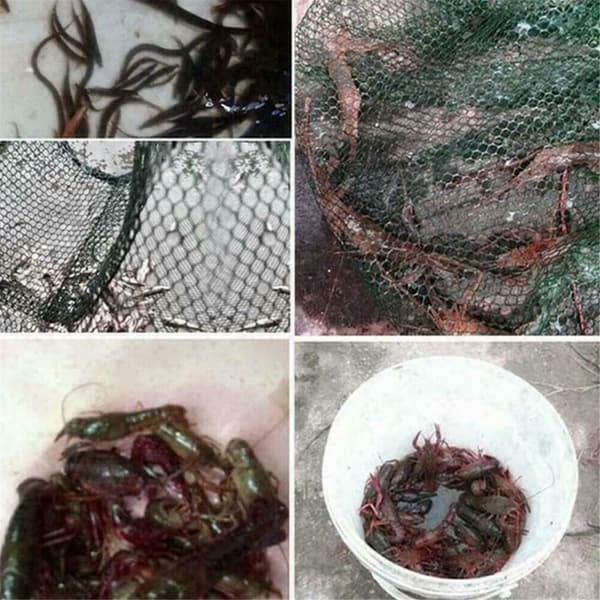 Hopfällbart Fisk Nät för Fisk Räkor Krabbor 6 Hål