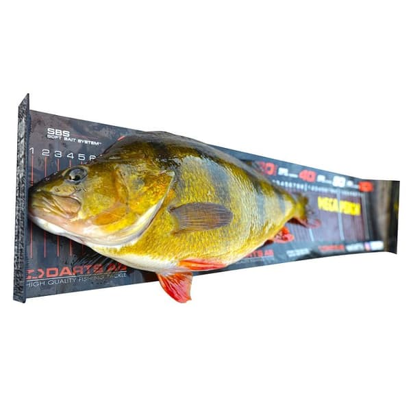 Darts SBS Perch Ruler 60cm