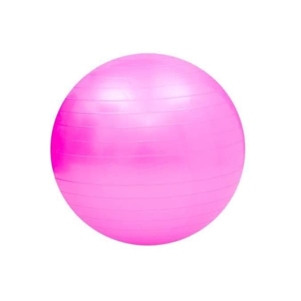 Swiss Ball Gymnastic Fitness Ball för Pilates Yoga Ryggstärkning med bollpump - Rosa Diameter 65 cm Stl S
