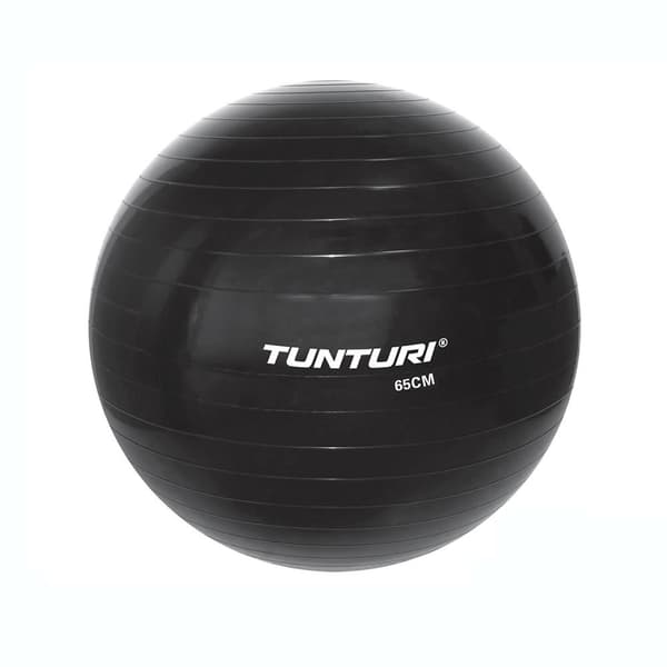 Tunturi Gym Ball Sort 75 cm