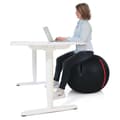 Miniatyrbillede 2 af 3: Gymstick Fitball Office Ball Sort 75 cm