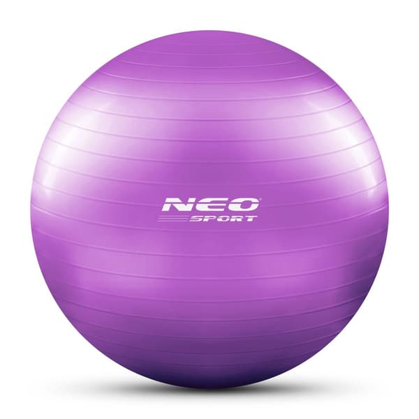 Harjoituspallo 65 cm NS-951 violetti