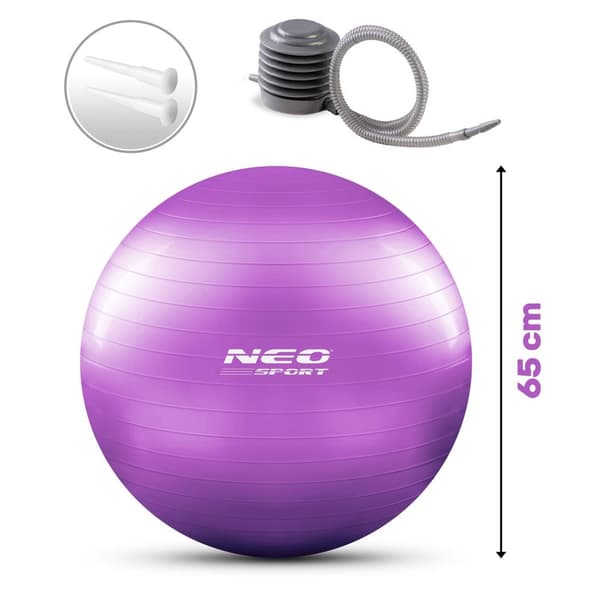 Harjoituspallo 65 cm NS-951 violetti