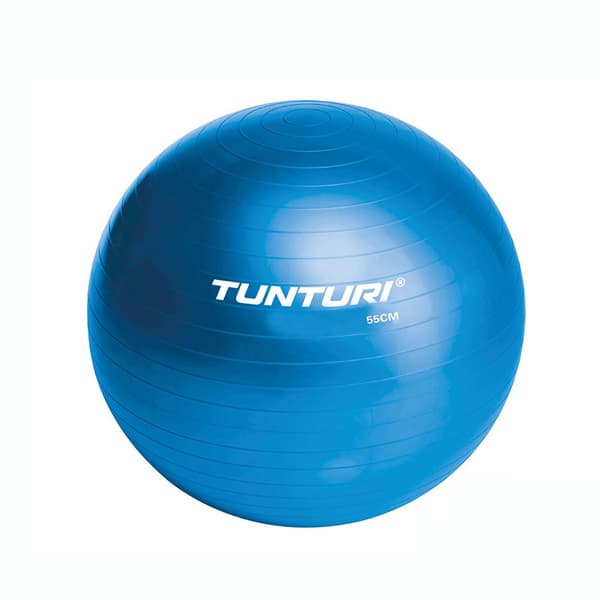 Tunturi Fitball Gym Ball Blå 90 cm